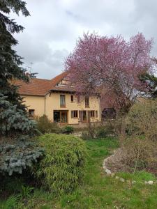 a house with a flowering tree in front of it at Chez Pascale & Pierre in Kogenheim