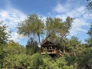 a tree house in the middle of the forest at Ndzhaka Tented Camp in Manyeleti Game Reserve