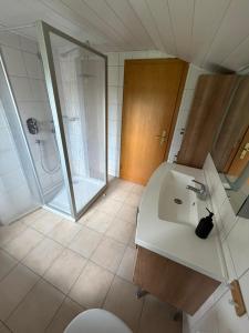 a bathroom with a sink and a shower at Landhaus zur Sonne in Bad Camberg +20 photos