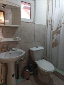 a bathroom with a toilet and a sink at Casa Slanic House in Slănic-Moldova +22 photos