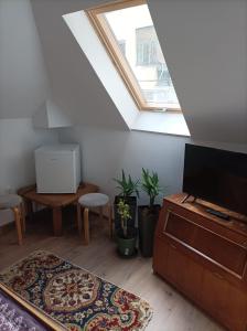 a living room with a tv and a skylight at Casa Slanic House in Slănic-Moldova