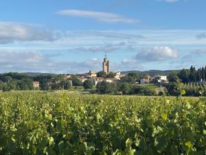 a field of crops with a town in the background at Écurie de l oasis in Caux +5 photos