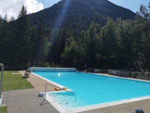 a large blue swimming pool in front of a mountain at Chalet Rustifol in Orsières