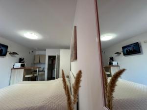 a room with a bed and a mirror and a kitchen at Guesthouse Villa Stanger in Lovran