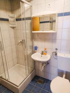 a bathroom with a shower and a sink and a toilet at Gama 2 in Vir +13 photos