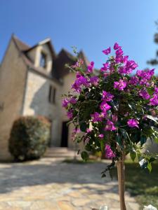 a bouquet of purple flowers in front of a house at Le Château des saveurs in Mello +9 photos