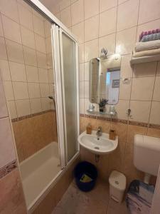 a bathroom with a sink and a shower and a toilet at Apartmani Vinko Palaversić in Jelsa +30 photos