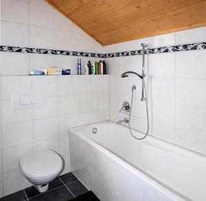 a bathroom with a toilet and a bath tub at Il Nido in Agra