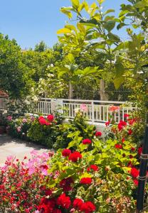 a garden with red flowers and a white fence at Lemon tree's house in Kalavárda
