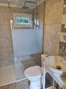 a small bathroom with a toilet and a sink at Nieuw chalet in Nunspeet in Nunspeet +11 photos