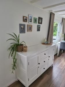 a white dresser in a room with a plant on it at Nieuw chalet in Nunspeet in Nunspeet