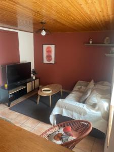 a living room with a bed and a television at La Salamandre in Valprivas