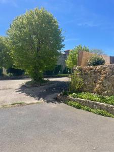 a tree sitting in the middle of a street at La Salamandre in Valprivas +2 photos