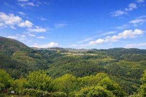 a view of a valley with trees and mountains at Casa Saudade Vila Real North in Vila Real