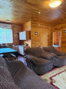 a living room with couches and a table in a cabin at Mayak Resort in Kam”yani Potoky