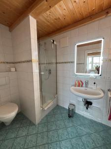 a bathroom with a shower and a sink and a toilet at Landhaus am Bach in Sulzberg +22 photos