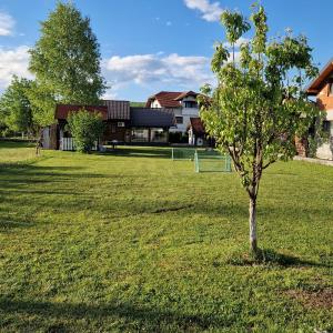 a small tree in the middle of a yard at Villa Breza in Bihać