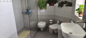 a bathroom with a shower and a toilet and a sink at Casa Maria in Avrig