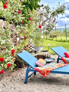 two blue picnic tables in a garden with roses at Ferienwohnung Piesbach in Nalbach