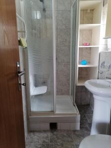 a bathroom with a shower with a toilet and a sink at Stas Apartments in Đenovići