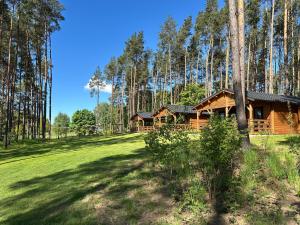 a log cabin in the woods with a large yard at Stary Las Siemczyno in Siemczyno