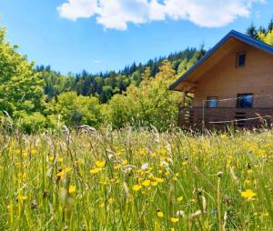 a field of flowers in front of a cabin at Romantic cabin in the woods - Fesnga, Slovenia in Slovenj Gradec
