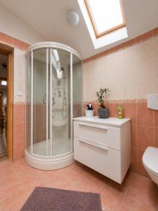 a bathroom with a shower and a toilet and a sink at Villa Sofia - dovolenkový dom pre 8 osôb in Batizovce +34 photos