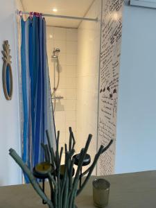 a potted plant in a bathroom with a shower at Studio Cosy in Saint-Juéry