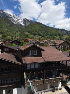 a building with a roof with mountains in the background at Seehotel Bären in Brienz