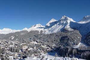 山景或在酒店看到的山景