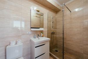 a bathroom with a sink and a shower at Apart Hotel Anastasia in Chişinău