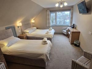 a hotel room with two beds and a window at Sanderlay Guest House in Kirkwall