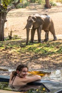 a woman in the water with an elephant in the background at Painted Dogs Lagoon in Kakumbi +5 photos