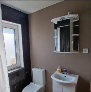 a bathroom with a toilet and a sink and a mirror at Celmu Nams in Ventspils +18 photos