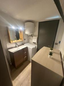a small kitchen with a sink and a refrigerator at La plume d'or in Saint-Étienne
