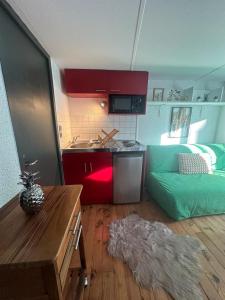 a kitchen and a living room with a green couch at La plume d'or in Saint-Étienne