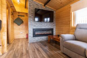 a living room with a couch and a fireplace at Wildwood Haven - Killorglin in Killorglin