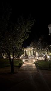 a park at night with trees and lights at Sunrise Apart-Hotel in Ulcinj