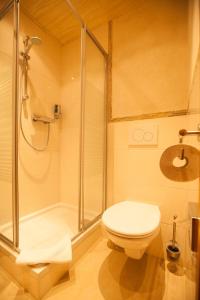 a bathroom with a shower and a toilet and a shower at Hotel Pfrontener Hof in Pfronten