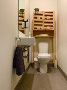 a bathroom with a toilet and a sink at Seaside Luxe at Vila Morava in Rosebud