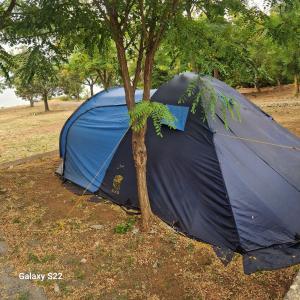 a blue tent sitting next to a tree at Tent for 2 in Brungaj