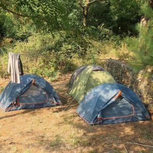 two tents in a field next to a stone wall at Tent for 2 in Brungaj