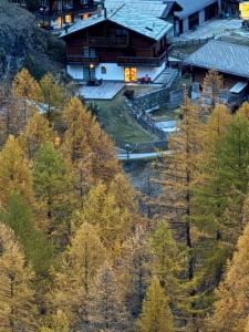 an aerial view of a house in a forest at Sole Mountain apartement in Zermatt