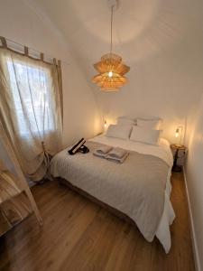 a bedroom with a large bed and a chandelier at Expériences Les Chênes Verts - Gîtes de charme in Piolenc +16 photos