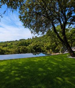 a green lawn with a tree and a swimming pool at Expériences Les Chênes Verts - Gîtes de charme in Piolenc