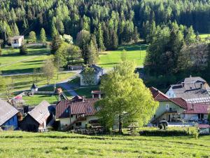 an aerial view of a village with houses and trees at Apartment Sonne&Luft in Bad Bleiberg