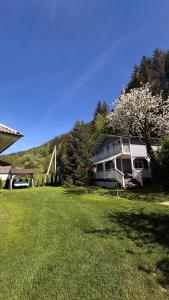 a large house on a lawn with a flowering tree at Mountain House in Vygoda