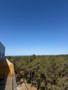 a view of the trees from the roof of a house at Apartament Sosnowy 45 in Rowy