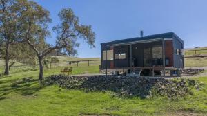 a black tiny house on a field with a tree at Crown Equine Retreat in North Dandalup