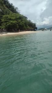 a body of water with a beach and trees at Lancha melodia in Paraty